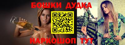 индика Абакан