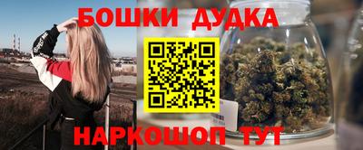 индика Абакан