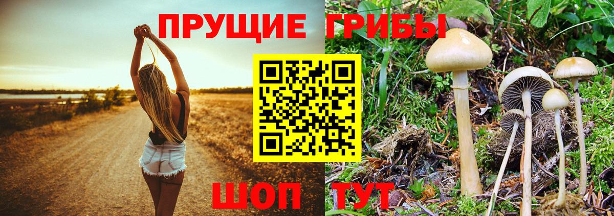 Галлюциногенные грибы прущие грибы  наркотики  Анапа  Вход с VPN 