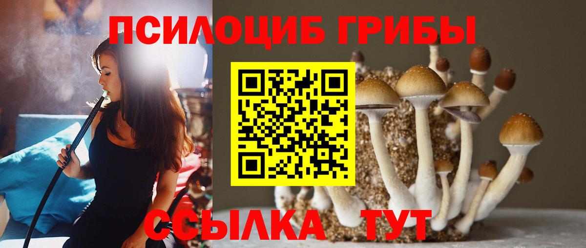 Галлюциногенные грибы Magic Shrooms Анапа